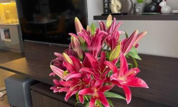 Cho thuê căn 2 ngủ DT 76m2 CC Tây Hồ Residence